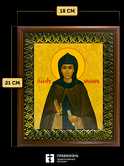 Икона Аполлинария преподобная, деревянная рамка с басмой и стеклом 18х21х2,5 см 031