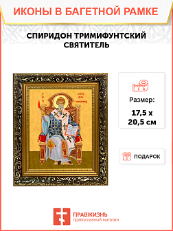 Образ святого Спиридона, епископа Тримифунтского, чудотворца, 09С8 Образ святого Спиридона, епископа Тримифунтского, чудотворца, 09С8