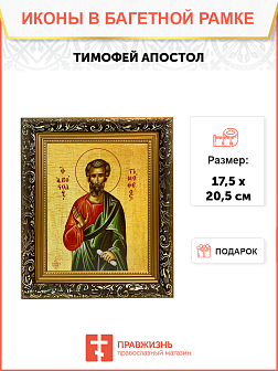 Икона Тимофей Апостол на холсте в киоте 138 Икона Тимофей Апостол на холсте в киоте 138