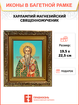 Икона святого Харлампия Магнезийского священномученика и епископа, 09Х1 Икона святого Харлампия Магнезийского священномученика и епископа, 09Х1