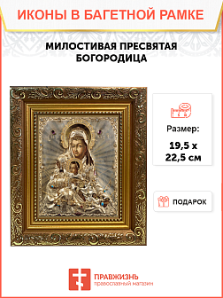 Образ Божией Матери "Милостивая", 03041