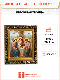 Образ "Пресвятой Троицы", 02Т2