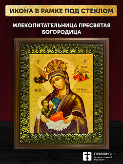 Икона Божией Матери Млекопитательница, деревянная рамка с басмой и стеклом 18х21х2,5 см 106 Икона Божией Матери Млекопитательница, деревянная рамка с басмой и стеклом 18х21х2,5 см 106