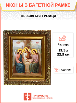 Образ "Пресвятой Троицы", 02Т2