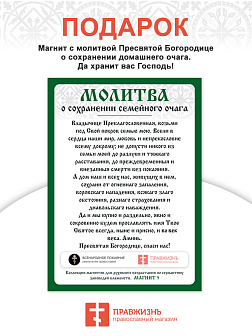 Икона Преподобный Стилиан Пафлагонский