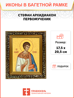 Образ святого Стефана Архидиакона, апостола-первомученика, 09С16 Образ святого Стефана Архидиакона, апостола-первомученика, 09С16