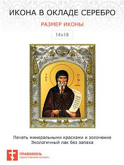 Икона Косма Этолийский Равноапостольный