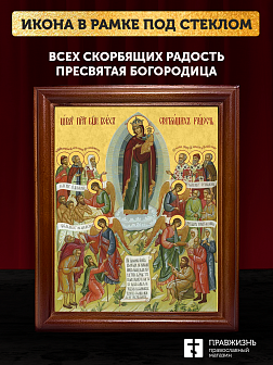 Икона Божией Матери Всех Скорбящих Радость, деревянная рамка со стеклом 15х18х2 см 153 Икона Божией Матери Всех Скорбящих Радость, деревянная рамка со стеклом 15х18х2 см 153
