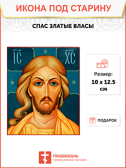 Икона Спаса Златые Власы