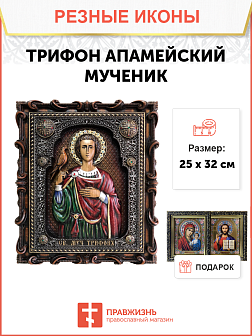 Икона Трифон Апамейский мученик