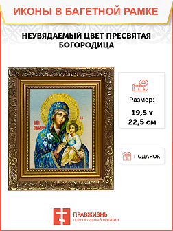 Икона Неувядаемый Цвет Божия Матерь на холсте в киоте 165