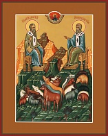 Икона ВЛАСИЙ Севастийский, Священномученик и СПИРИДОН Тримифунтский, Святитель