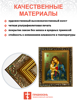 Икона Божией Матери Взыскание погибших с золочением, узкая рамка 17,5х20,5х2 см