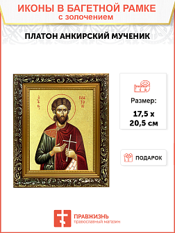 Икона "Платон Анкирский", св. мч., с золочением поталью, 09П4-УЛ