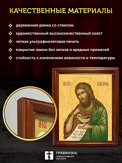 Икона Иоанн пророк Предтеча и Креститель Господень, деревянная рамка со стеклом 15х18х2 см 081
