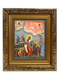 Образ святого святого Илии Пророка Фесвитянина, 09И20