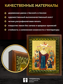 Икона Божией Матери Всех скорбящих Радость с золочением, деревянная рамка с басмой и стеклом 18х21х2 Икона Божией Матери Всех скорбящих Радость с золочением, деревянная рамка с басмой и стеклом 18х21х2