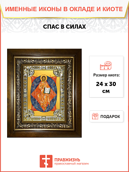 Икона Спас в Силах, в деревянном киоте