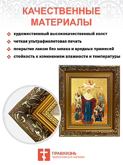 Икона Божией Матери "Всех Скорбящих Радость" с золочением поталью, 03010-УЛ