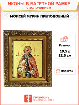Икона "Моисей Мурин", св. прп., с золочением поталью, 09М2-УЛ
