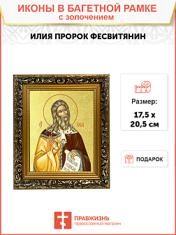 Икона "Илия Пророк Фесвитянин", св., с золочением поталью, 09И8-УЛ