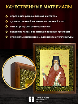 Икона Феодор Санаксарский преподобный с золочением, деревянная рамка с басмой и стеклом 18х21х2,5 см