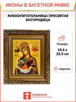 Икона Млекопитательница Божия Матерь на холсте в киоте 106