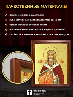 Икона Илия Фесвитянин пророк с золочением, деревянная рамка со стеклом 15х18х2 см 077