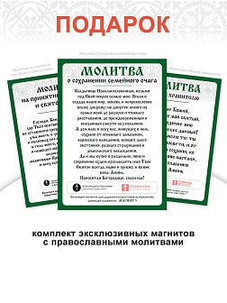 Икона 221 Ангел Хранитель гальваника