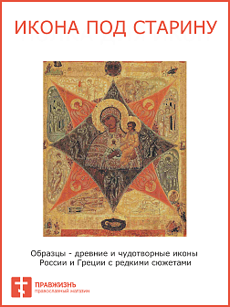 Икона Божья Матерь Неопалимая Купина