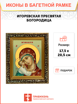 Образ Божией Матери "Игоревская", 03032 Образ Божией Матери "Игоревская", 03032