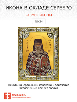Икона Святитель Дионисий Закинфский Эгинский