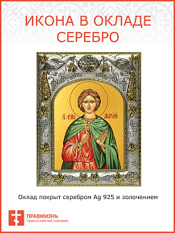 Икона Анатолий Никейский святой мученик