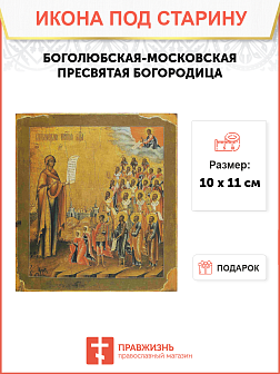 Икона Боголюбская - Московская